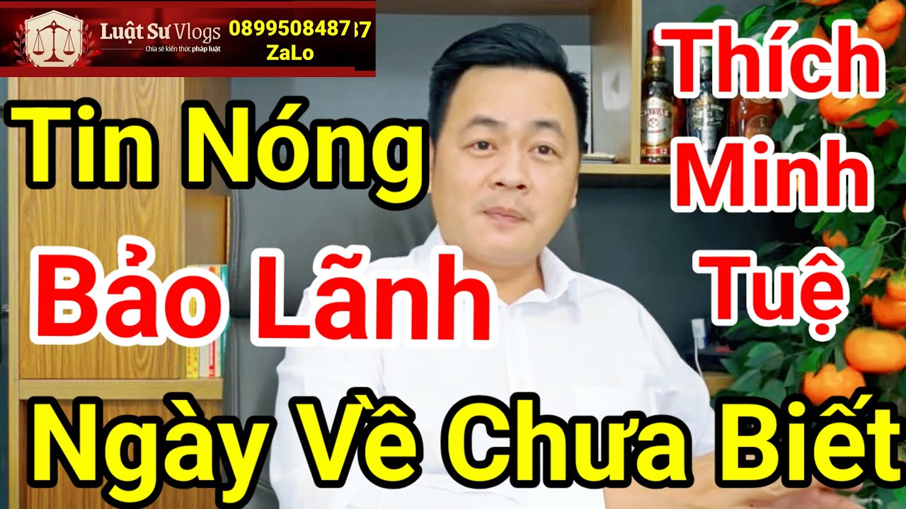 🔴 Thích Minh Tuệ Đến Ấn Độ Rồi Có Biết 4 tình Nguyện Viên Được Bảo Lãnh ? Luật Sư Vlogs