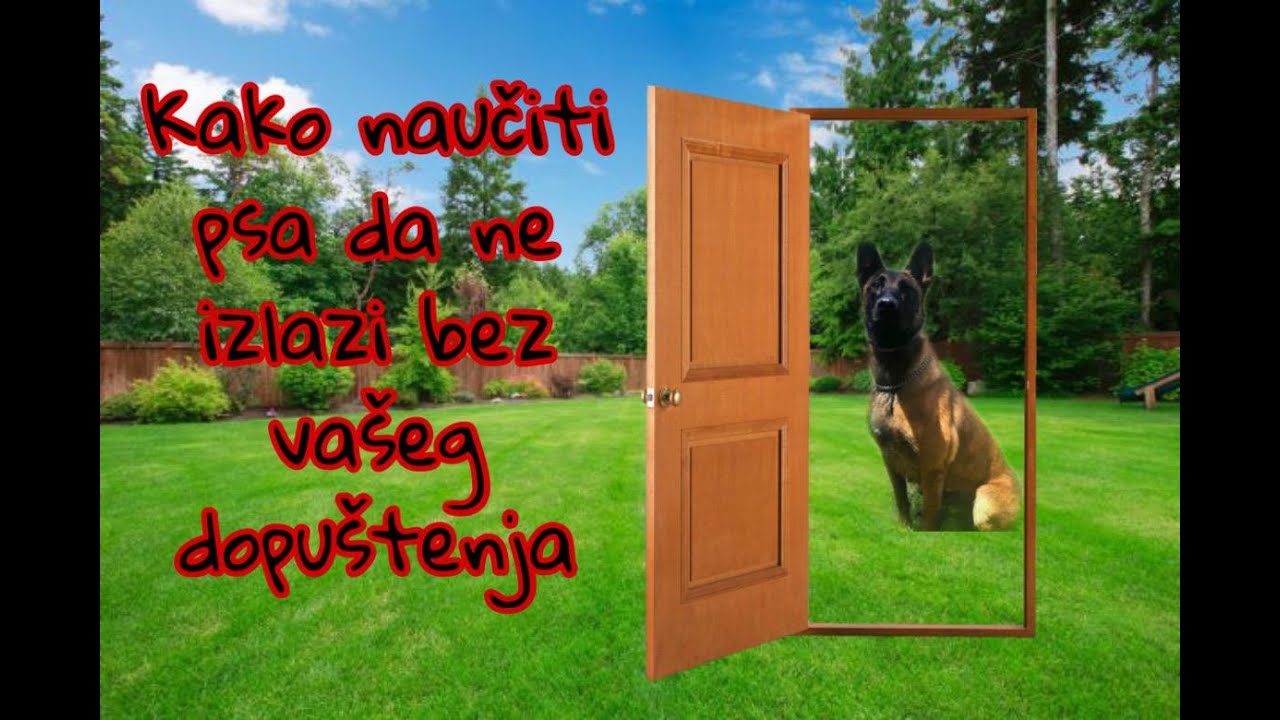 KAKO NAUČITI PSA DA NE IZLAZI BEZ VAŠEG DOPUŠTENJA