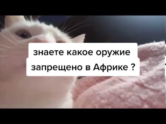 белый под головой белый под головой