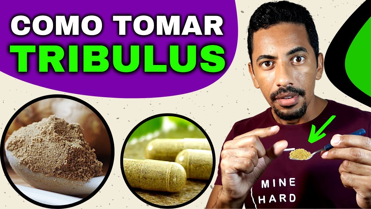 Tribulus Terrestris Como Tomar Em Pó ou Capsula (Guia Completo) YouTube