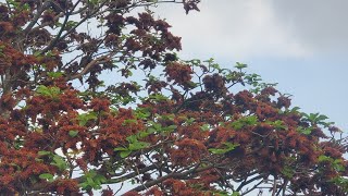 Into The Light Part 2 Music For Emotional Release Inner Peace