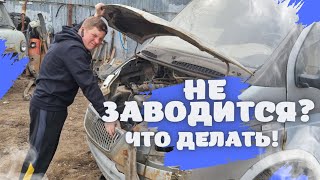 видео: 🆘️ ЧТО ДЕЛАТЬ ЕСЛИ НЕ ЗАВОДИТСЯ ГАЗЕЛЬ, УАЗИК?! картинка: 🆘️ ЧТО ДЕЛАТЬ ЕСЛИ НЕ ЗАВОДИТСЯ ГАЗЕЛЬ, УАЗИК?!