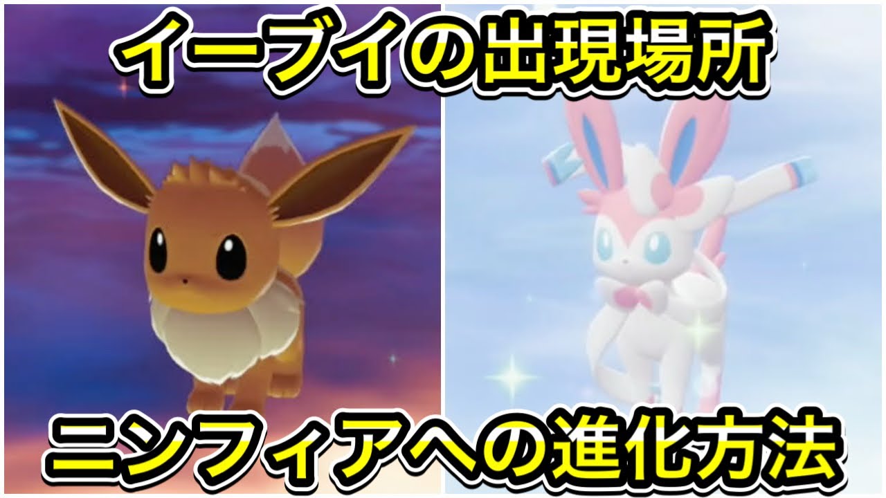 イーブイ ニンフィア Yamahana ポケモンZA】イーブイの出現場所！ニンフィアへの進化方法を解説 - YouTube