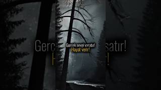 Sevgi Öldürmez Yaşatır