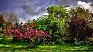 GARDEN BY JOHN GREENLEAF WHITTIER