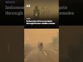 Drivers navigate through wildfire smoke in Indonesia | Khaleej Times