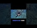 The Ultimate Underwater Control System | CHASING X