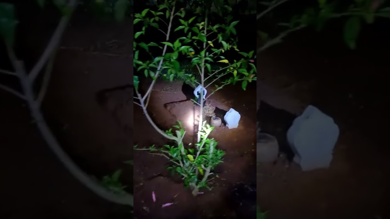 Kuburan ini sangat mengerikan!!!