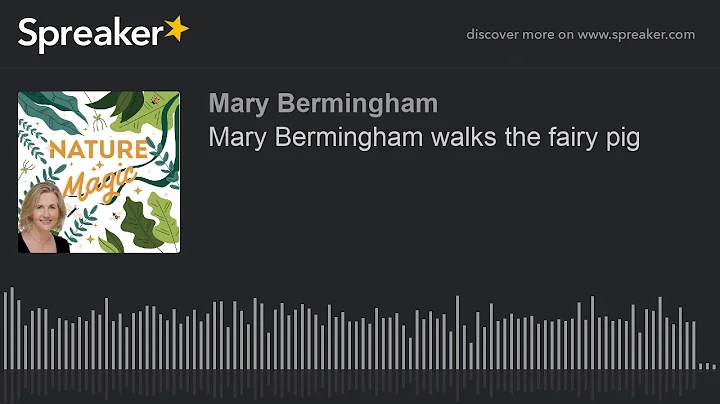 Mary Bermingham walks the fairy pig