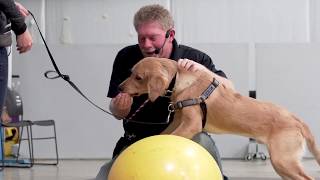 Paws & Play Training Class Orientation