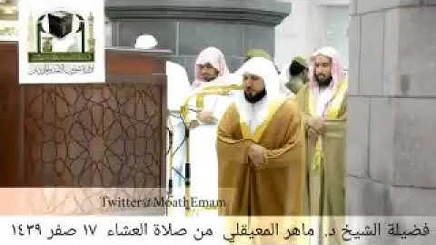 ( ماتيسر من قصة نوح من سورة هود) عشاء الأثنين 17-2-1439هـ | للشيخ د- ماهر المعيقلي
