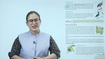 Ch 4 | Devsiddh | Science | Science 3 | Birds : Feet, Claws and Nests | For children