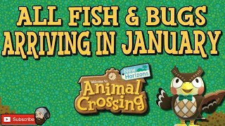 ACNH ALL NEW FISH AND BUGS IN JANUARY: Animal Crossing New Horizons January Fish & Bugs