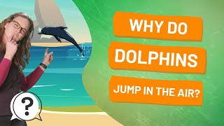 Why do dolphins jump in the air? | But Why Bites