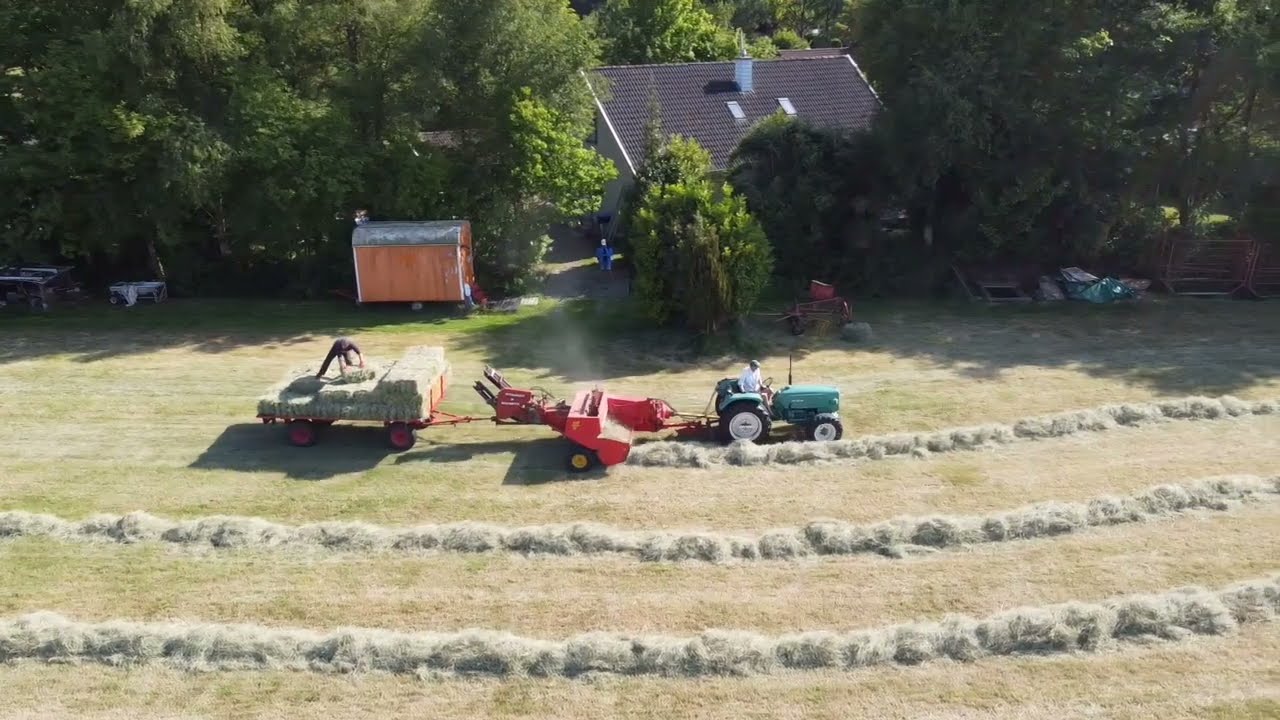 MAN 4N2 mit Welger AP 42 pressen 1. Schnitt 2023