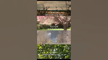 باسم الكربلائي قصيدة الفصول الاربعة لكن شتاك بلا برد ينزل دماك من السماء باسم الكربلائي 
