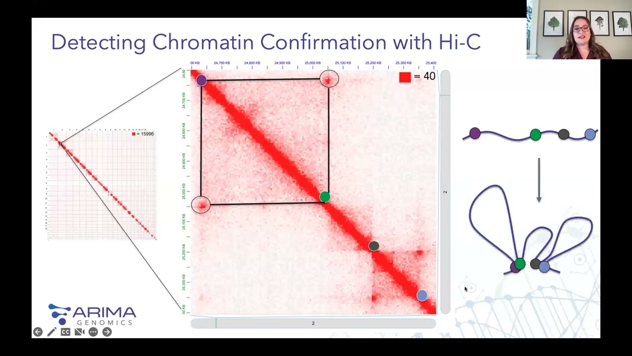 Got Blood? How 3D Genomics Detects Structural Variants in Pediatric Leukemia Patients