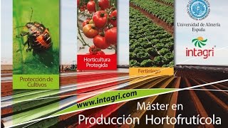 Maestría en Producción Hortofrutícola - Intagri