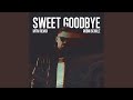 Miniature de la vidéo de la chanson Sweet Goodbye (Mtm Phonk Mix)