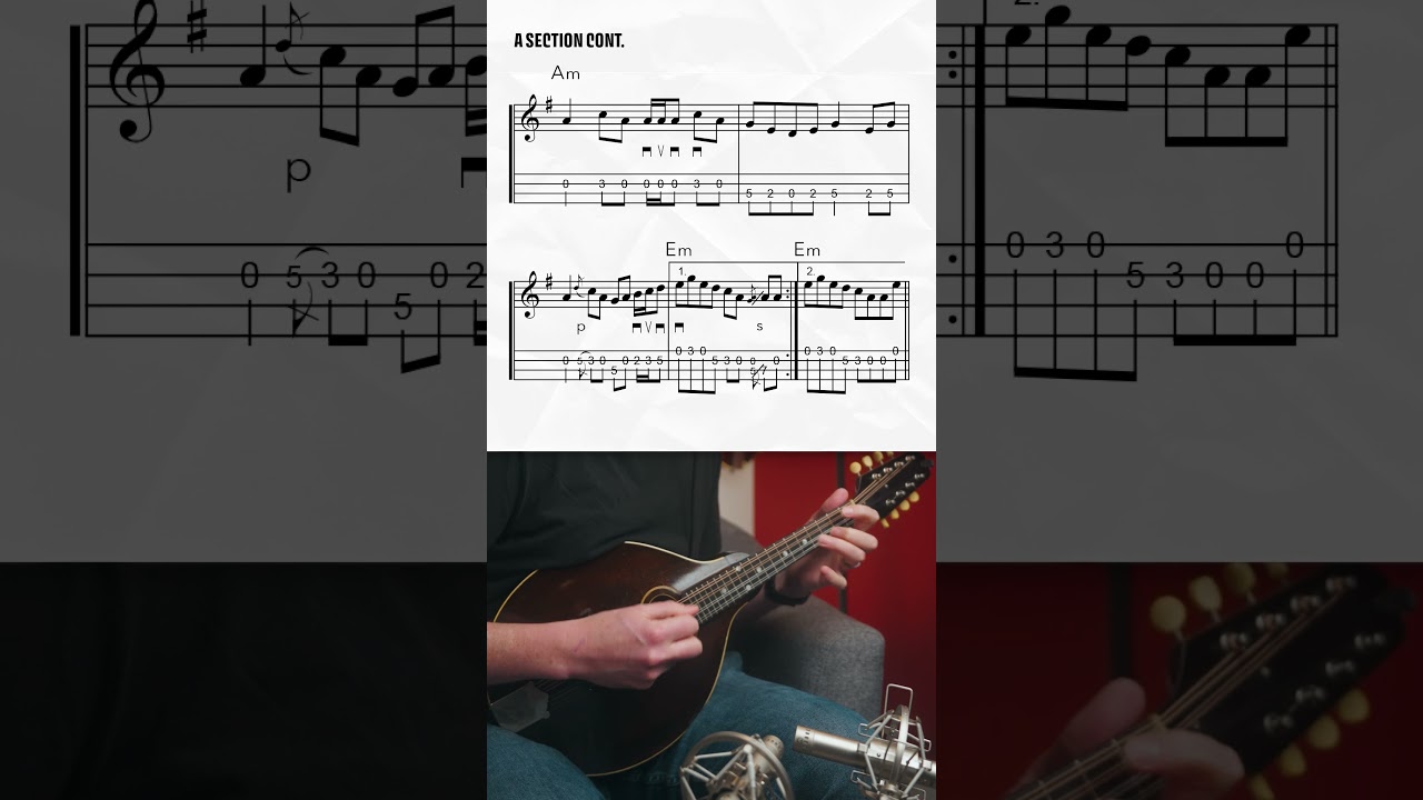 "Castle Kelly" Mandolin Melody 