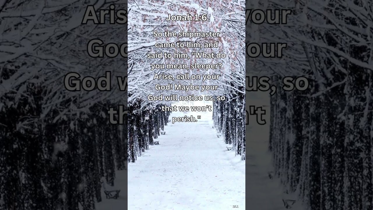 Journey Of Faith And Spiritual Growth Jonah 1 6 Daily Bible Verse