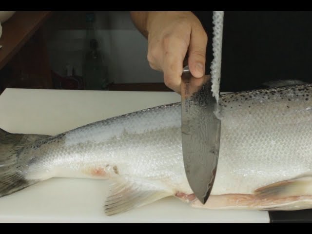 Removing Fish Scales The Japanese Way - Sharpest Knife in the World 