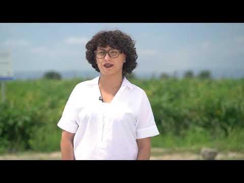 საირიგაციო სისტემა ბოსტნეულის ნაკვეთისთვის