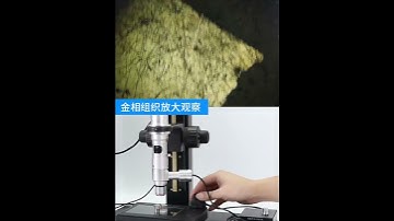 Wafer inspection microscope | High magnification microscope | Optical fiber inspection | Precision