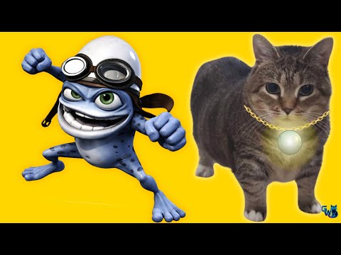 OIIAOIIA CAT & CRAZY FROG - SUPERNOVA (TECHNO - PHONK REMIX) Cat Brainrot Video 