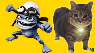 Oiiaoiia Cat & Crazy Frog -Spinning Cat Techno - Phonk Remix Cat Brainrot Video - Supernova