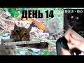 ВЛОГ - 2 НЕДЕЛИ В ОРЕНБУРГЕ У БАБУШКИ!! ДЕНЬ 14