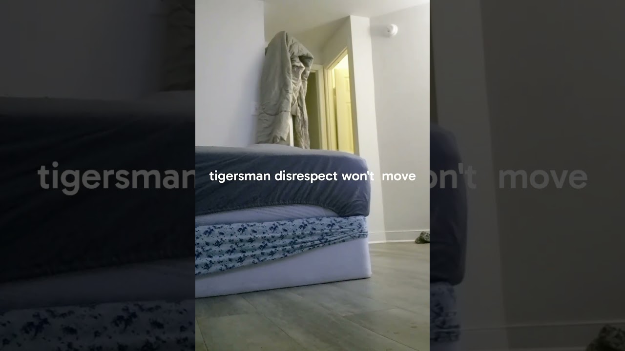 tiger won't get out the bed he disrespectful