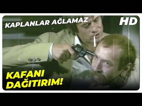 Kaplanlar Ağlamaz - Canpolat, Yargı Dağıtıyor! | Cüneyt Arkın Eski Türk Filmi