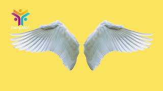 Visualization 03232023 - Test Your Angel Wings