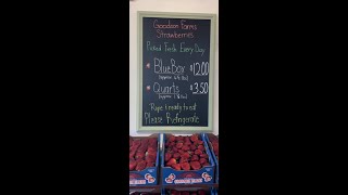 Goodson Strawberry 🍓 Market knows Strawberries like Bubba Gump knows Shrimp 🦐