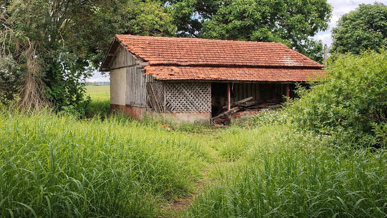 Mulher Perde no Mesmo Dia Seu Sogro, o Marido e o Filho, Tudo Por Conta de Uma Luz no Céu