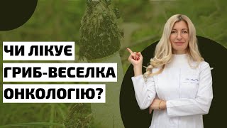 Гриб-Веселка При Онкології | Міфи Про Рак, частина 2