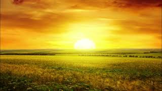 Nerātnās Dziesmas - Kur Tu Teci Feat. M.m Drum & B Mix