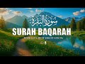 Get 20 Minutes of Pure Bliss with This Surah Al-Baqarah Inspired Meditation