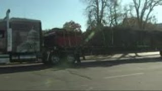 U.S. Capitol Christmas Tree arrives in DC