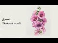 [ 3 minute Watercolor - Watch and Learn ]  Hollyhock. NAMIL ART