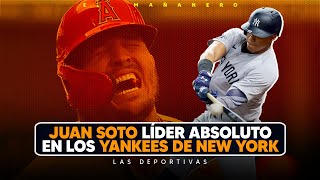 Boletri le dice chismoso al presidente del licey - El Líder absoluto de los Yankees - Las Deportivas