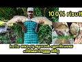 രോഹു,കട്ടള,grass carp fishing ഉള്ള best food|Carp Fishing Food Making In Malayalam|Fishing Bait