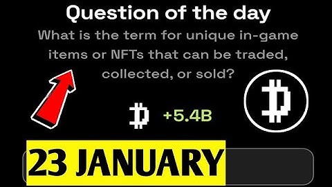 What is the term for unique in-game items or NFTs that can be traded, collected, or sold?