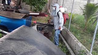 Relief on the Way; Spraying for Mosquitoes Commences