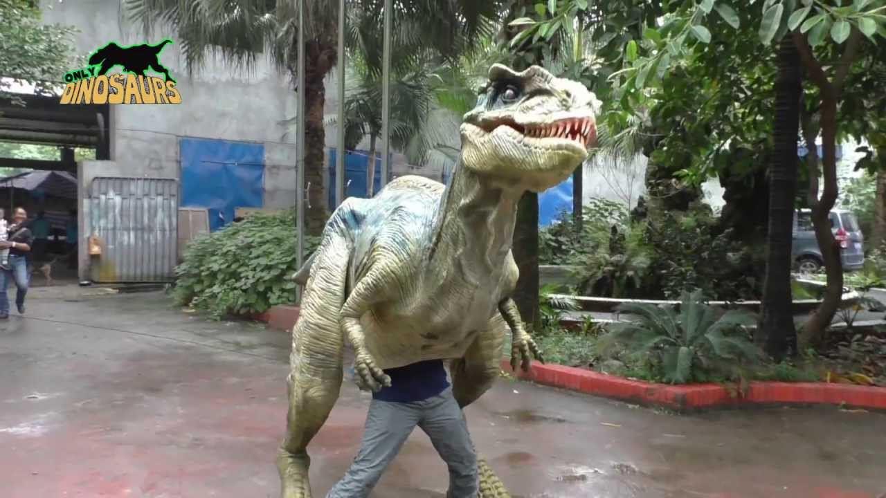 Gehen DinosaurierKost\u00fcm auf Lager  YouTube