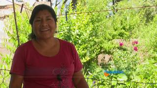 Recorrido por huertas puntanas