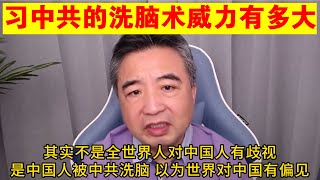 翟山鹰习中共的洗脑术威力有多大丨Ucl伦敦大学丨王思聪