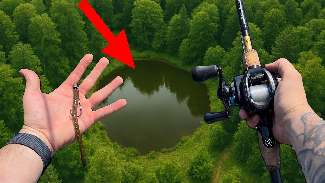 The Secret to CATCHING BIG BASS in this TINY WOODED POND! (SENKO)