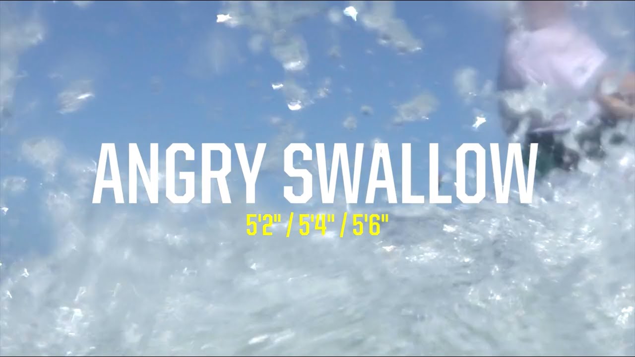 2017 ANGRY SWALLOW - Modern All Around Performance